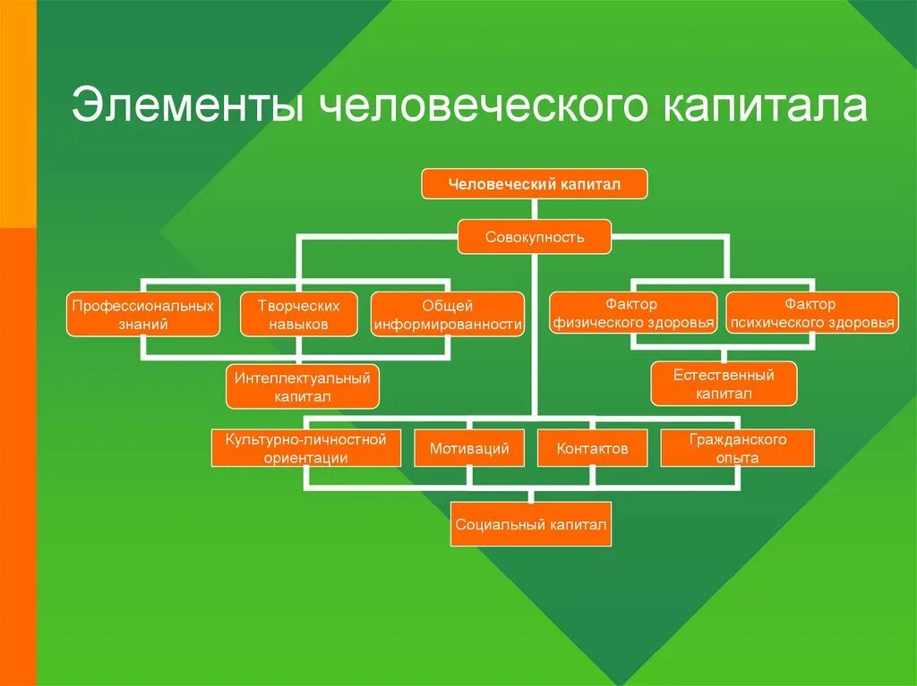 Составляющие человеческого капитала. Структурные элементы человеческого капитала. Структура видов человеческого капитала. Основные элементы человеческого капитала. Активы человеческого капитала