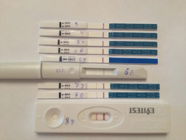 Тест на беременность на 8 день после подсадки эмбриона. Тест на беременность 8 день после переноса эмбриона. Тест на беременность 8 ДПП пятидневок. Тест на беременность на 8 ДПП трехдневок. Тест на беременность 5 дневки