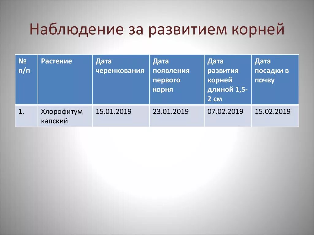 05 дата. Таблица растение Дата черенкования Дата появления первого корня. Таблица наблюдений за развитием растений.