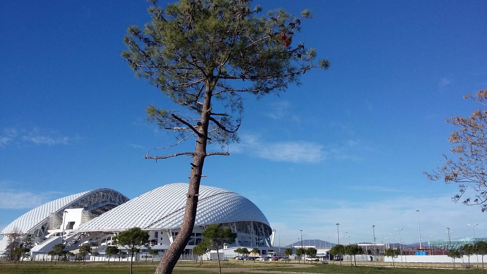 Погода в Адлере. Погода Сочи Адлер. Сочи Адлер погода сегодня. Погода в Сочи Адлерский район.