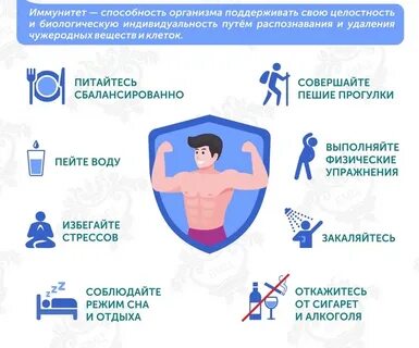 Как повысить иммунную систему