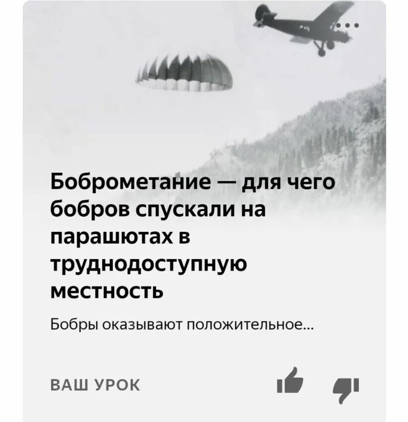 История одной семьи на дзене рассказ дзен. Рассказы на Дзене. Дзен который мы заслужили.