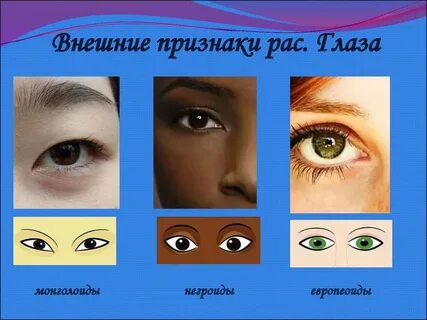 Цвет глаз у славян