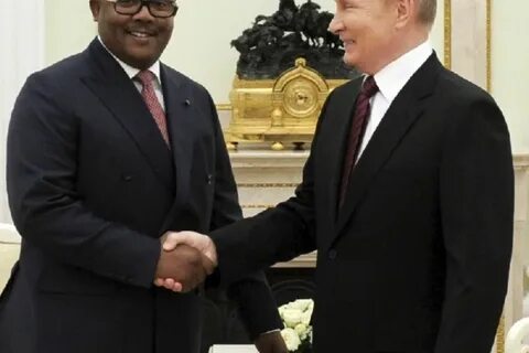 Новый братишка