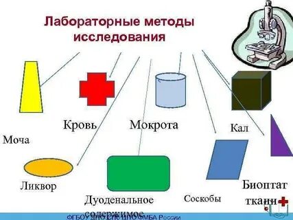 Лабораторное исследование памятка