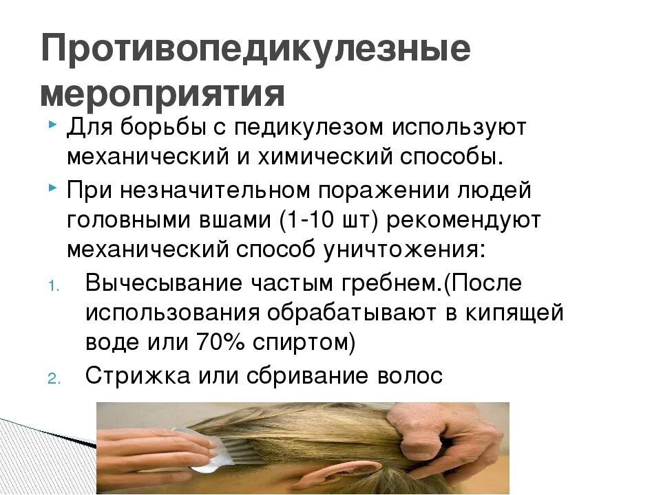 Профилактика и борьба с педикулезом. Методы борьбы с педикулезом. мероприятия по борьбе с педикулезом. препараты для борьбы с педикулезом.