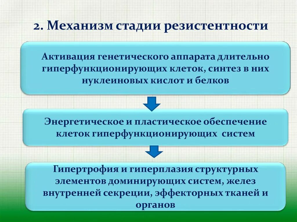 Стадия адаптации стресса