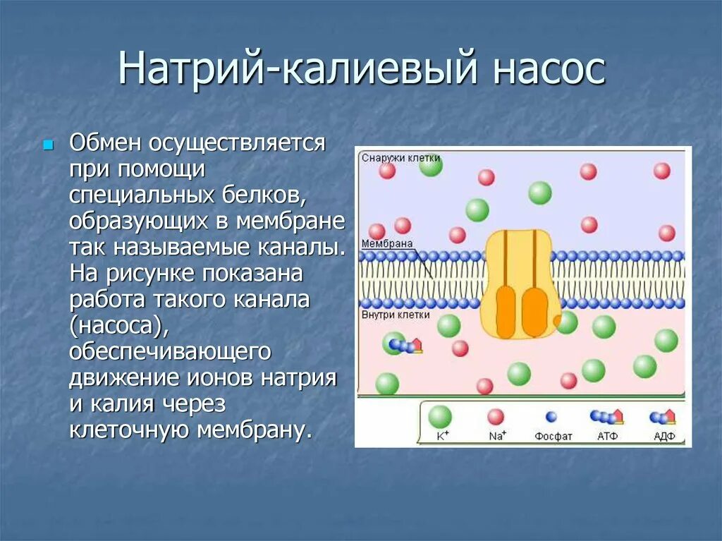 Между собой с помощью специальной