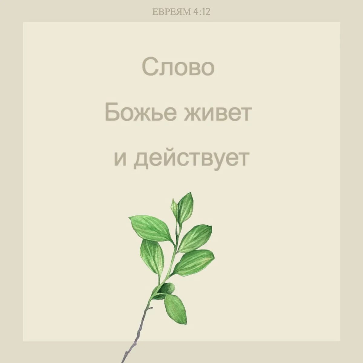 Живое слово божье. Слово Божие живо и действенно. Ибо слово Божие живо и действенно. Ибо слово Божие живо и действенно и острее всякого меча. Слово Божье живо и действенно Библия.