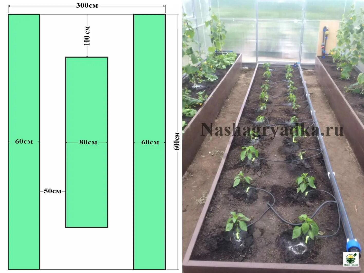 Теплица 3х4 расположение грядок. Планировка грядок в теплице 3х4. Три грядки в теплице 3х6. Теплица 3х6 расположение грядок. На 3 грядки посадили 27