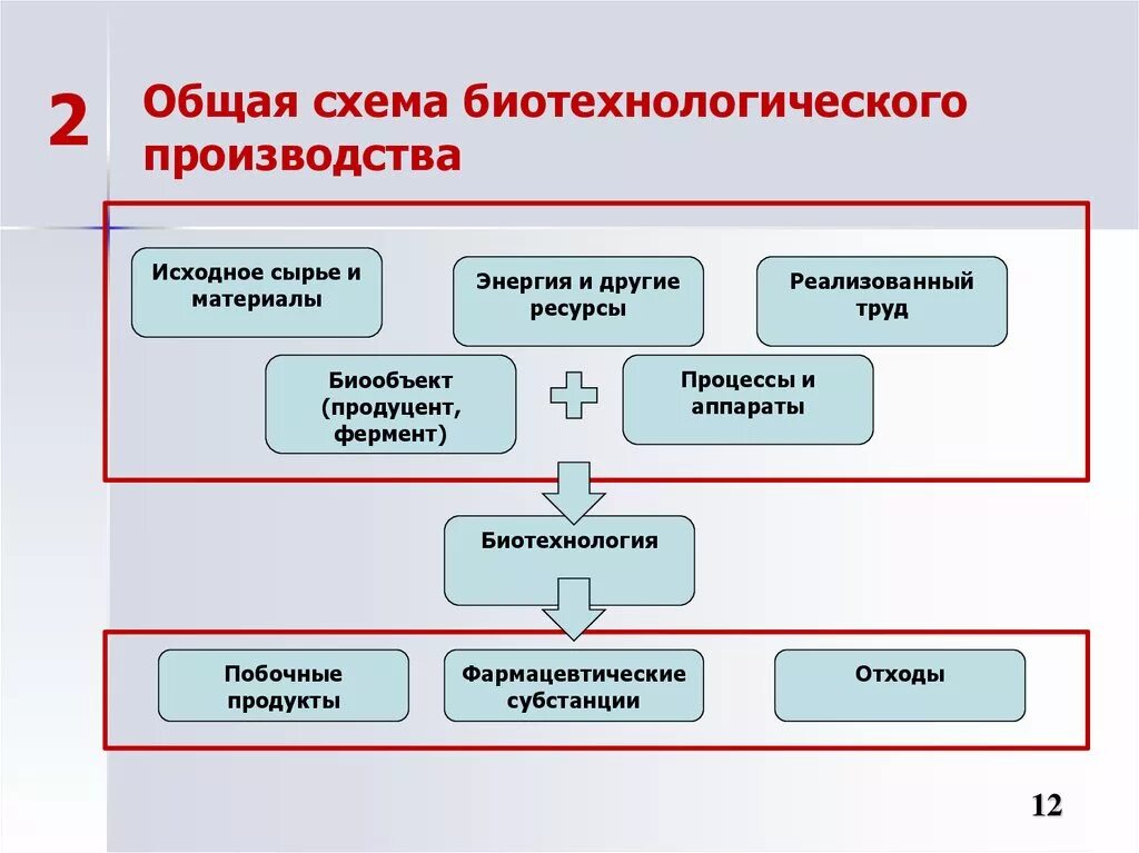 Этапы биотехнологии. Общая схема биотехнологического производства. Принципиальная схема биотехнологического процесса. Схема производственного биотехнологического процесса. Основные этапы биотехнологического производства.