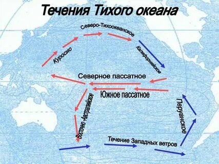 Сколько холодных течений