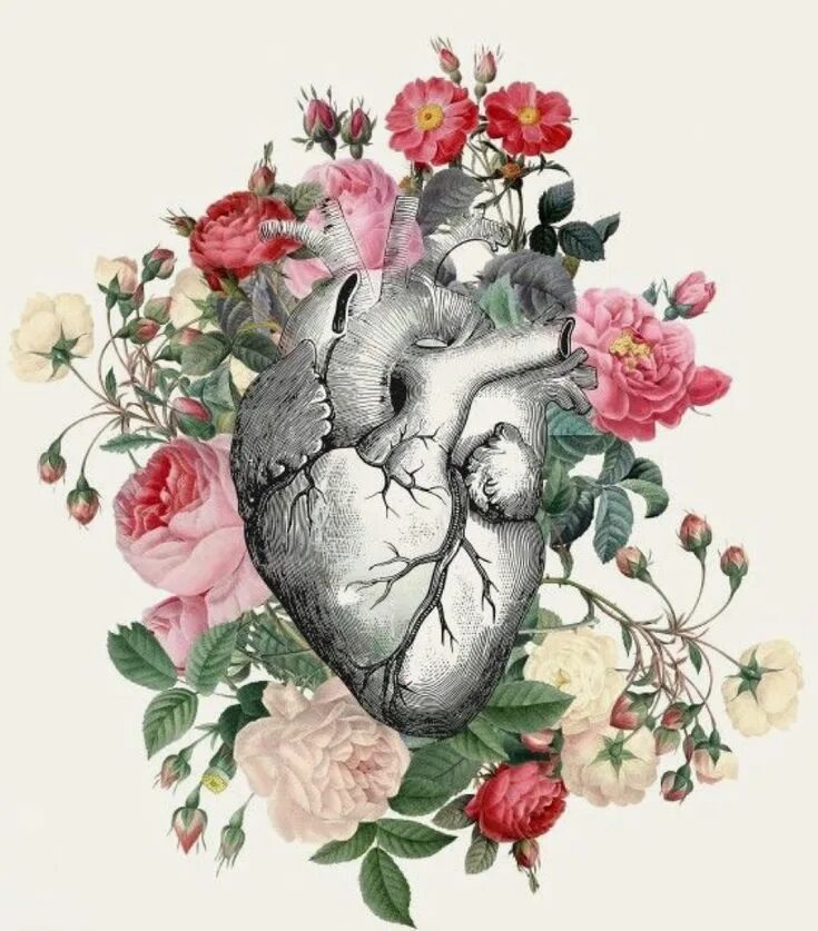 Angeline hearts and flowers. Человеческое сердце в цветах. Цветущее сердце. Анатомическое сердце в цветах. Человеческое сердце с цветами.