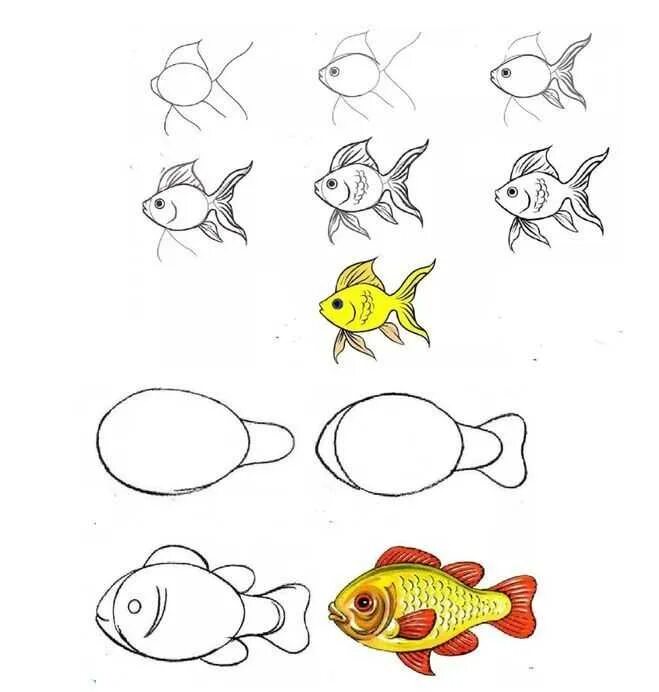 Рисование рыбки. Пошаговое рисование для детей. Рисование для детей рыбы. Этапы рисования рыбки для детей. Нарисовать рисунок рыбу