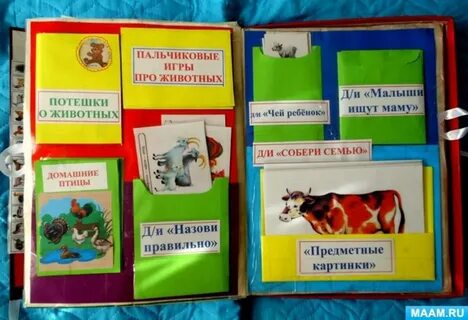 Подготовительной группе красная книга