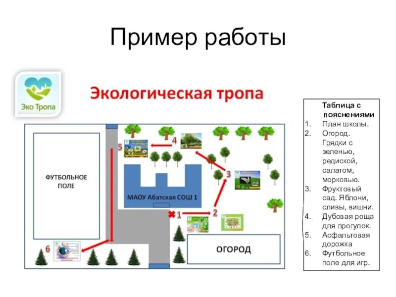 Схема экологической тропы в ДОУ. Карта экологическая тропа в ДОУ. Схема экологической тропы в ДОУ на участке детского сада. План схема экологической тропы в ДОУ. Карта дошкольных учреждений