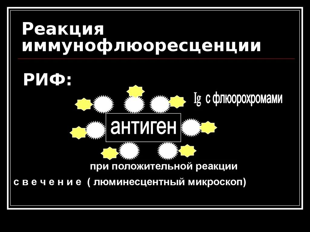 Риф реакция. Риф реакция иммунофлюоресценции. риф иммунология реакция. реакция непрямой иммунофлюоресценции. • риф (реакция иммунофлюоресценции (риф).