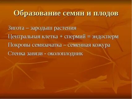 Образование зародыша и плода