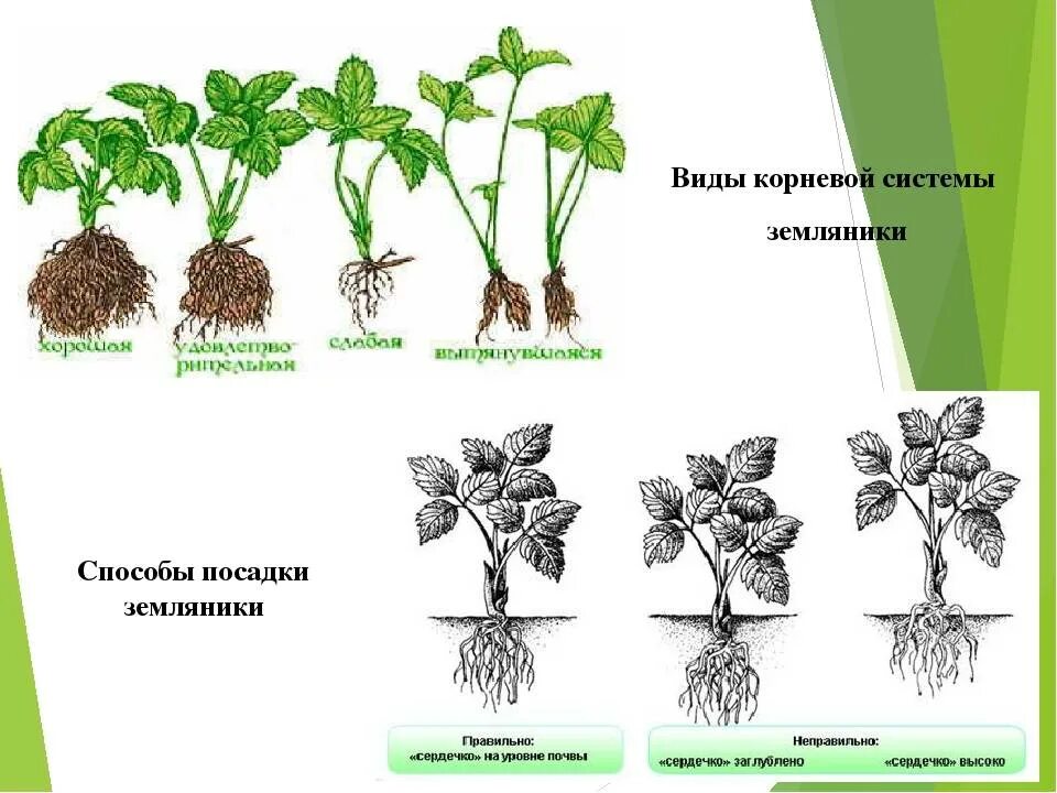 В какой последовательности собирать