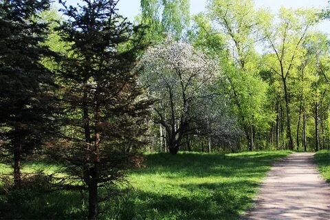 Севастопольский парк