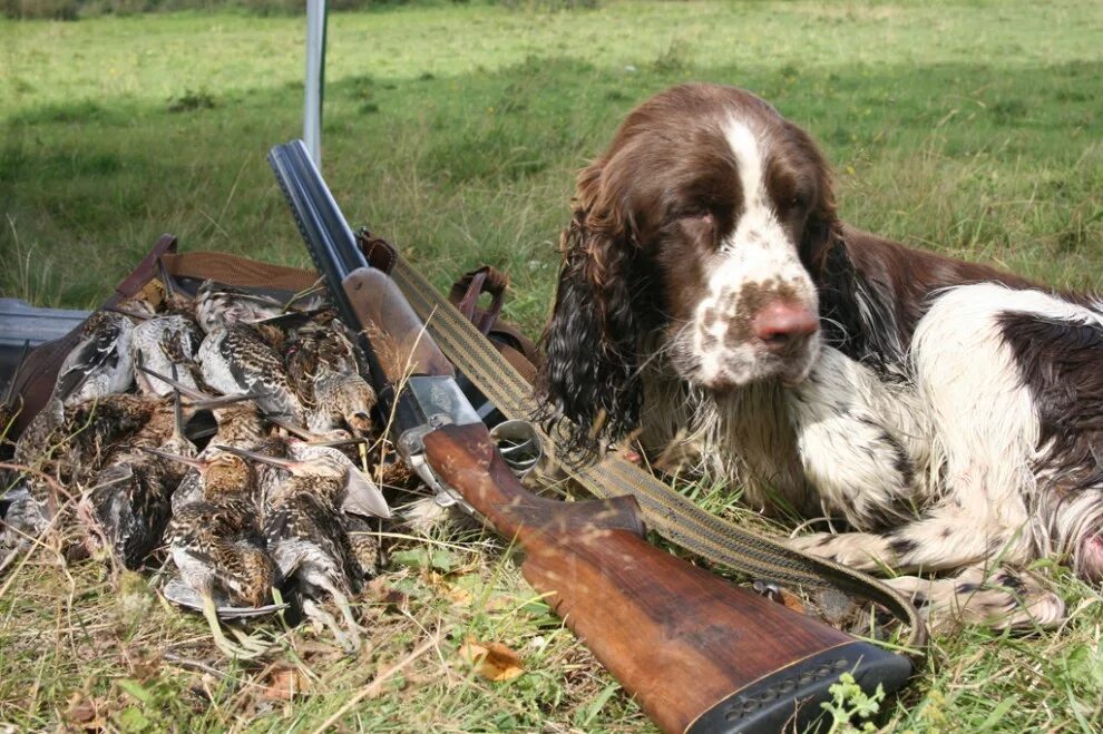 жетоны охотничье хозяйство. охотничье хозяйство логотип. удачная охота охотхозяйство. охотхозяйство владимирская область. карачингильское охотничье хозяйство.