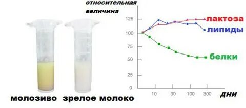 34 недели молозиво