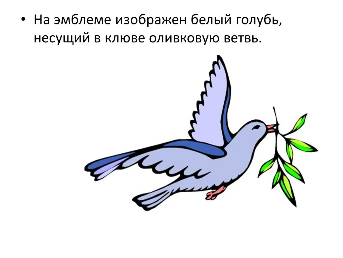 Белый голубь с оливковой ветвью. Голубь несет в клюве. Белая Голубка с веточкой оливы в клюве. Клюв белого голубя