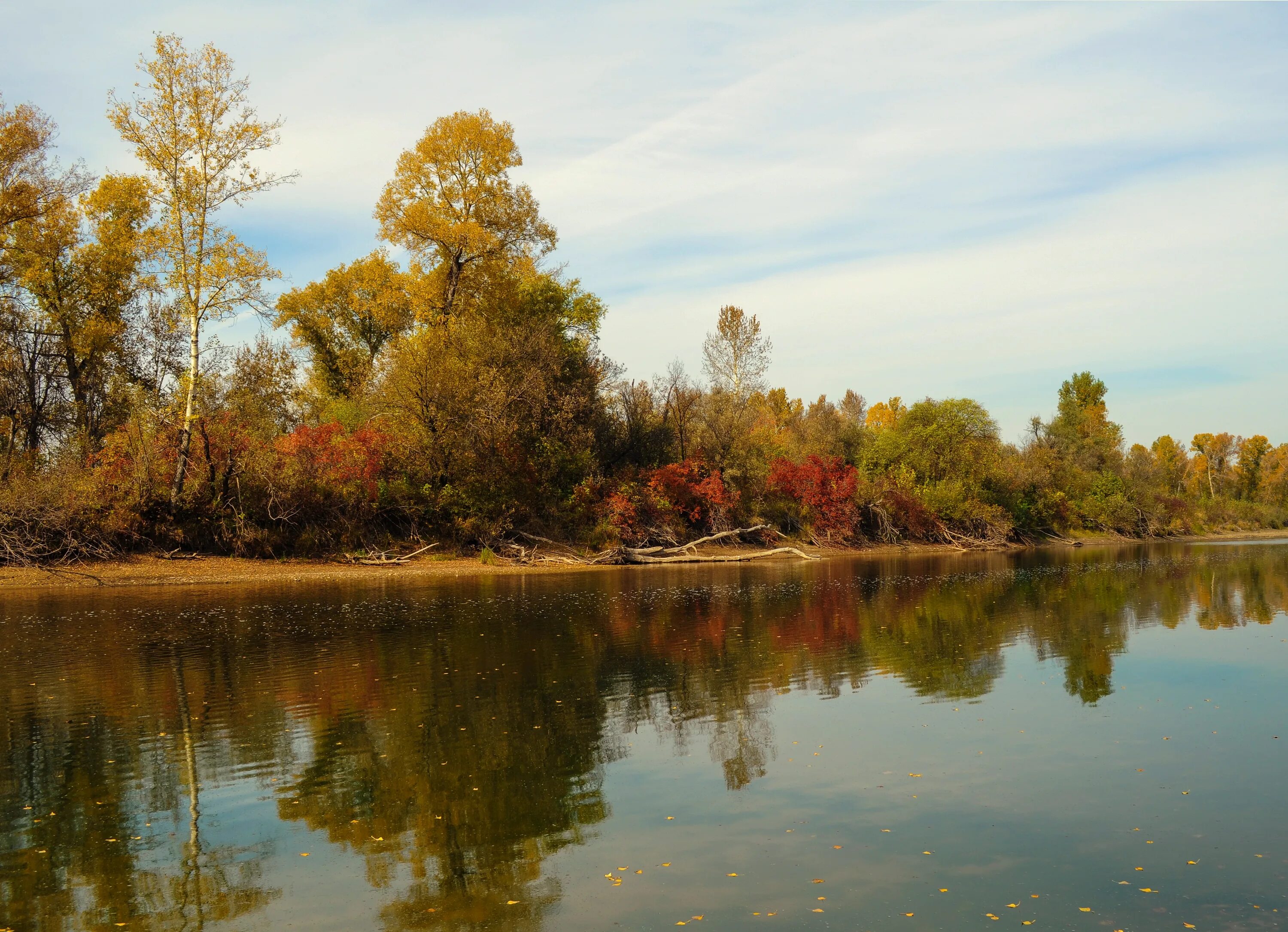 Размышления осени. Осень речка. Пейзажи Донбасса. Осень отражение в воде. Пейзажи с отражением деревьев в воде.