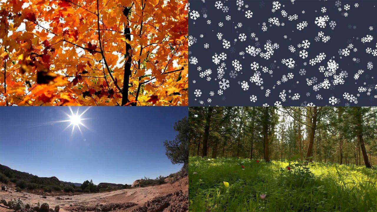 Seasons of the year. 4 Seasons. 4 seasons of the year