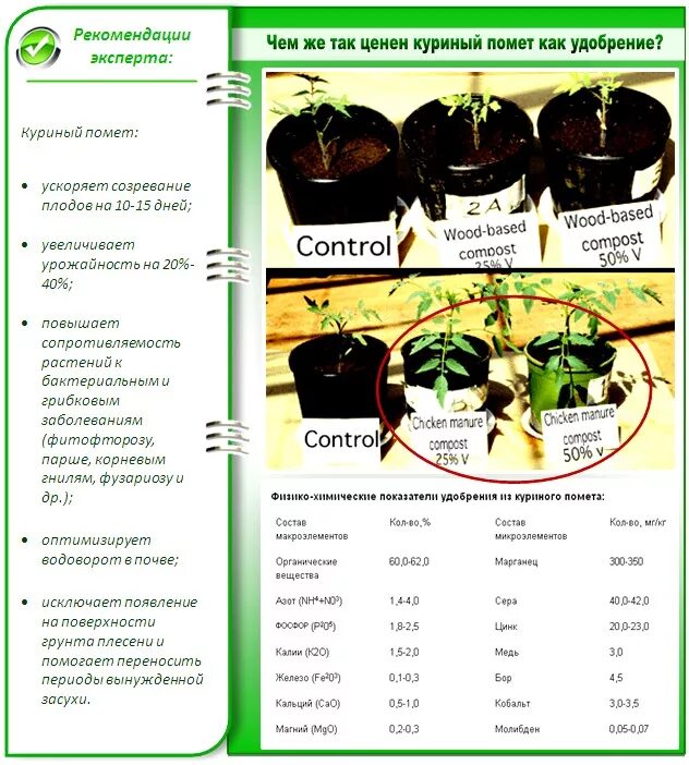 Какие растения любят перегной