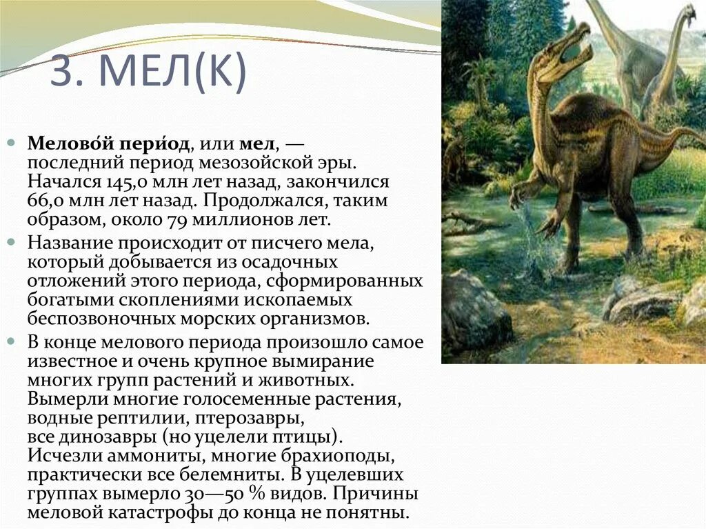 Мел период мезозойской. Меловой период, или мел (145-66 млн лет назад). Меловой период животные и растения. Растения конца мелового периода. Меловой период климат.