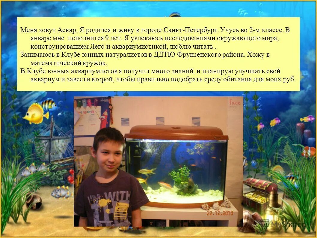 Искусственное сообщество аквариум