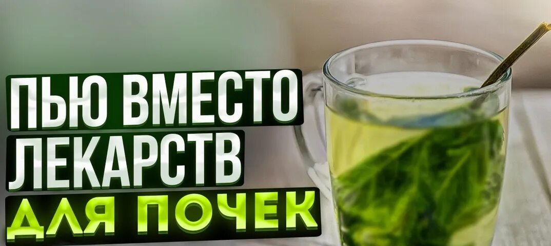 Прорыв лечение почек на сегодня. Здоровье почек. очищение почек от камней.
