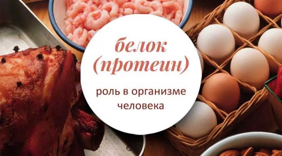 Ценность белка в организме. Ценность белка в организме. Ценность белка. Основные пищевые источники белка. Роль белков d организме.