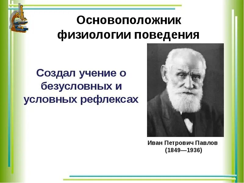 Физиологическое поведение. Поведение это физиология. основоположник физиологии. основоположники внд. основоположник учения о внд.