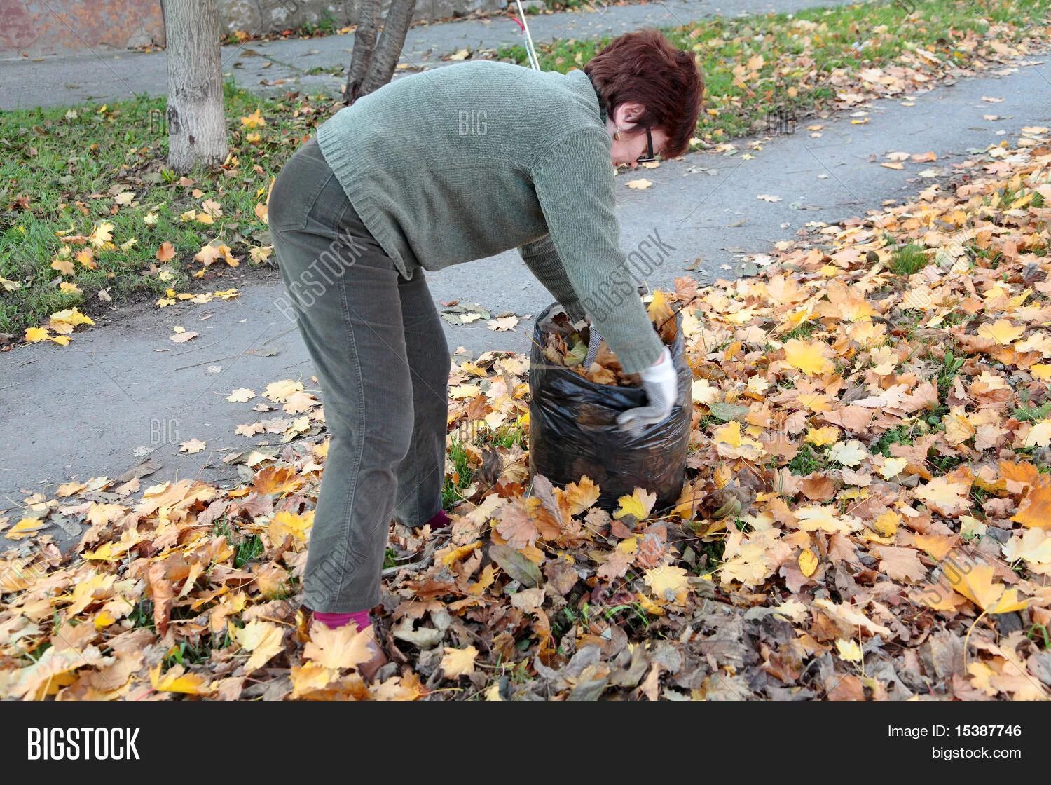 Pick up leaves. Сбор листьев. Сбор листвы вручную. Приемы сбора листьев. Фото картинок raking leaves.