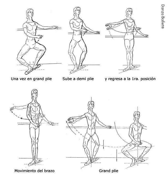Названия движений человека. Деми и Гранд плие в классическом танце. Плие приседания классический танец. Деми плие в 1 позиции. Деми плие и Гранд плие.