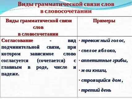 Твой портфель вид связи в словосочетании