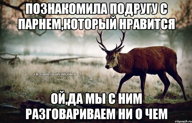 Дай намек