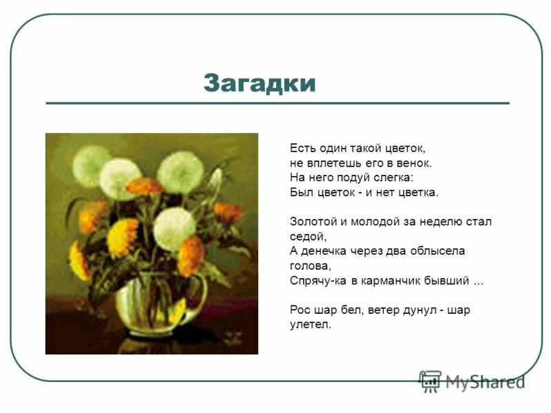 Вырос одуванчик первый молодой. Загадка про одуванчик. Загадка про одуванчик для детей. Загадка про одуванчик для дошкольников. Загадка есть 1 такой цветок.