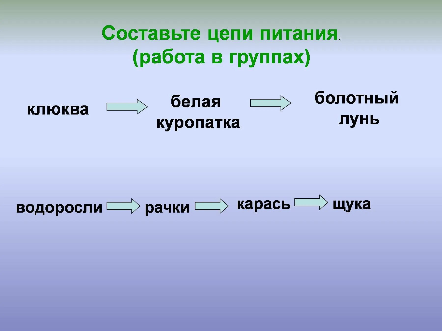 Составьте 10 цепей питания