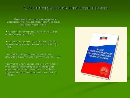 Какой вид ответственности предусмотрен действующим законодательством
