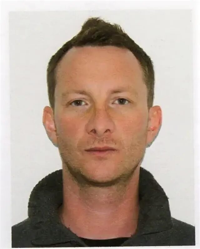 Стив форман актер. Стив форман. Стив форман биография. Стив форман. Стив форман комик.