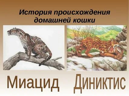 Начало происхождения