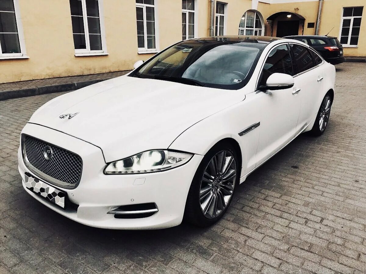 Белый цвет машины фото. Jaguar XJ 2010 белый. Jaguar XF 2010 белый. Jaguar XJ x351 белый. Ягуар XJ белый.