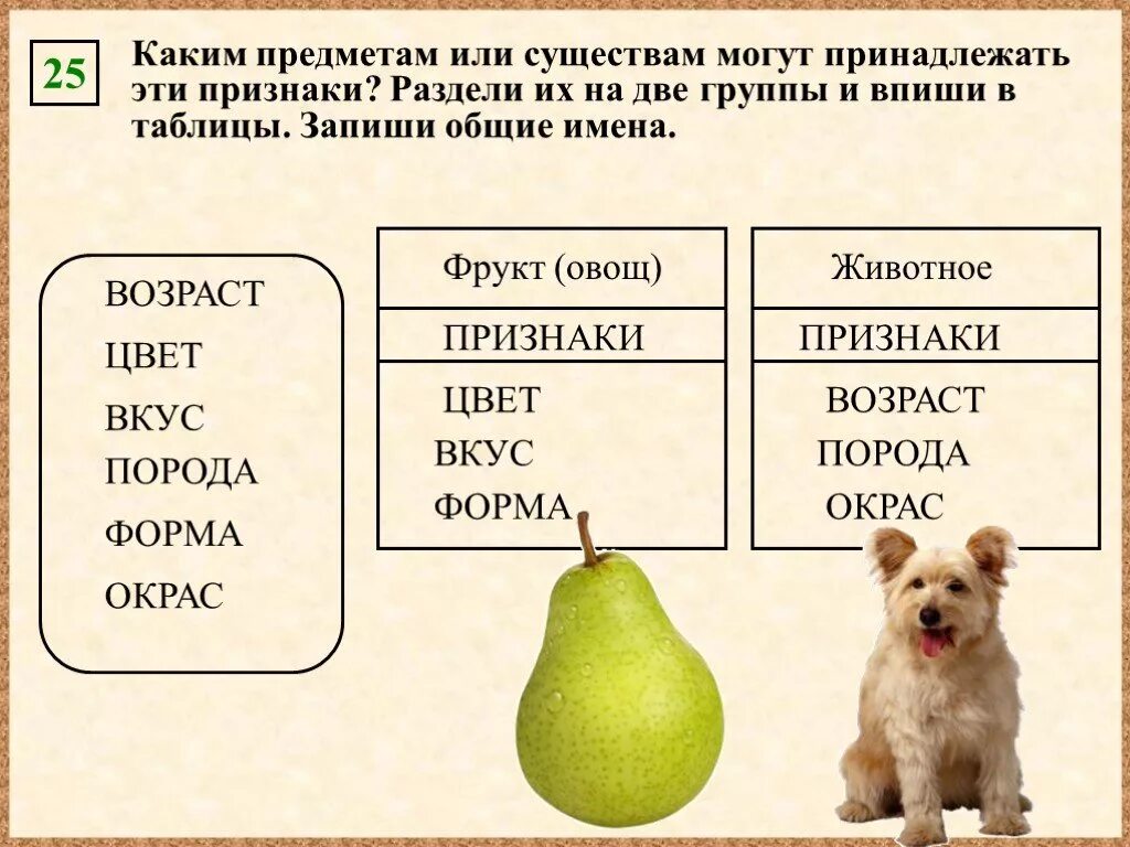 Какой темой можно объединить эти слова. Каким предметом или существам могут принадлежать эти признаки. Признак предмета. Раздели предметы на две группы. Признаки предмета по информатике.