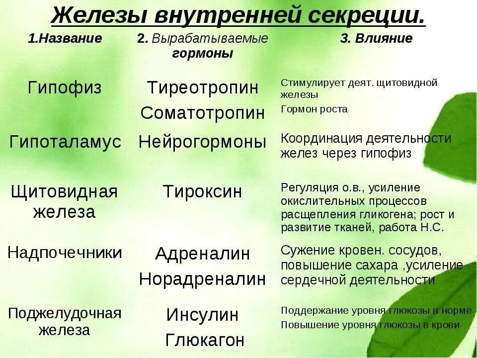 Зеленые железы функции. Железы внутренней секреции гормоны функции таблица. название железы внутренней секреции. таблица желез внутренней секреции и их функции. функции желез внутренней секреции таблица.