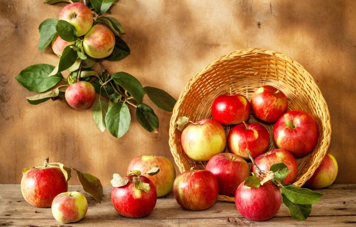 Флера яблоки. «Натюрморт яблоки и гранаты» (1871). Красивые натюрморты с яблоками. Живописное яблоко. Картина яблоки.