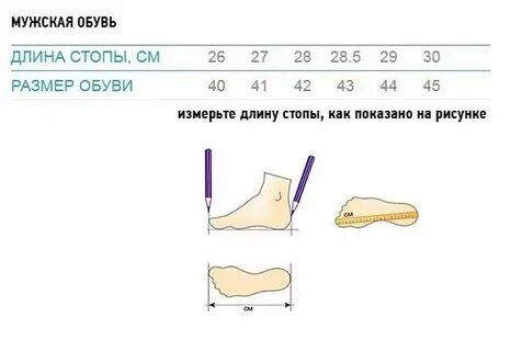24 5 см стопа какой