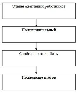 Сколько выделяют этапов адаптации